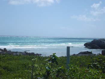 DSC00901