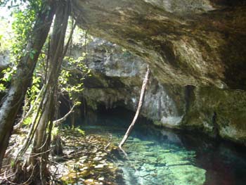 DSC00908